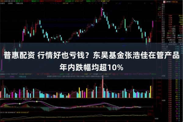 普惠配资 行情好也亏钱？东吴基金张浩佳在管产品年内跌幅均超10%