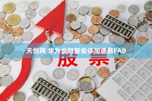 天创网 华为金融智能体加速器FAB