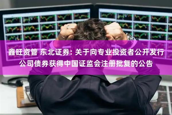 鑫旺资管 东北证券: 关于向专业投资者公开发行公司债券获得中国证监会注册批复的公告